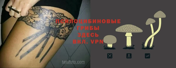 крисы Зеленодольск