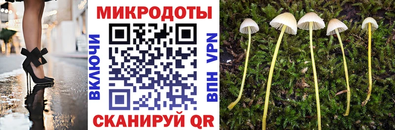 Купить закладки  Малая Вишера  Псилоцибиновые грибы мухоморы 